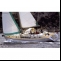 Yacht Beneteau Oceanis 40 CC Mittelplicht AN Details